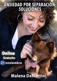 Webinario "Soluciones para la ansiedad por separación" con Malena DeMartini 
