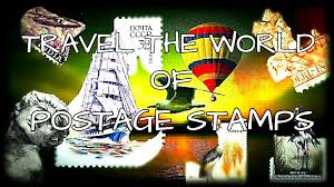 Image result for Cogniauxia