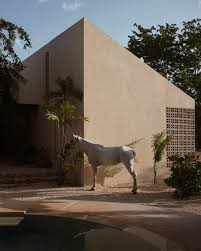 Image result for Galopina