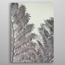 Fern 2 Metal Poster Pascal Deckarm Displate Metal Posters Cool Artwork Abstract Artwork