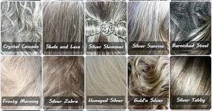 Gray Hair Color Chart New Gray Hair Color Chart Fepa