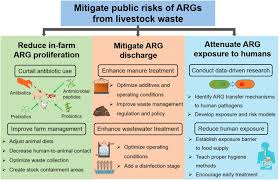 To apply human and animal waste in spring, compost and green. Antibiotic Resistance Genes From Livestock Waste Occurrence Dissemination And Treatment Npj Clean Water