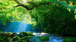 Relaxing Sleep Music Deep Meditation Music Stress Relief Dancing With Nature By Tim Janis Youtube