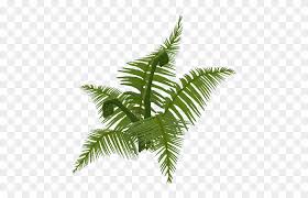 Old Growth Ferns Jungle Fern Png Free Transparent Png Clipart Images Download Also fern png available at png transparent variant. old growth ferns jungle fern png