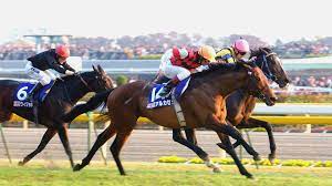 Download free horse racing wallpapers for your desktop. Horse Racing Hd Wallpaper Background Image 1920x1080
