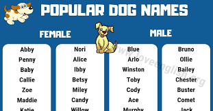 Dog Names 120 Most Popular Male And Female Dog Names Love English