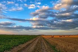 Free Image On Pixabay Field Road Rural Country Road Organic Farming Farming System Agriculture