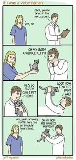 The Greatest Viral Images About Cat Ownership Funny Pictures Can T Stop Laughing Funny Pictures Veterinarian