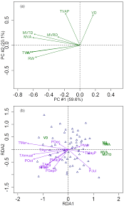 No more weeding every year and the solid surface assists with reducing compaction. Principal Component Analysis Based On The Standard Tree Ring Download Scientific Diagram