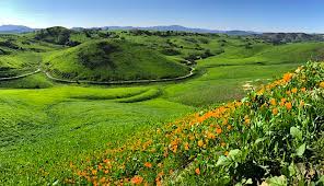 Maybe you would like to learn more about one of these? Could There Be A Spectacular Wildflower Season At Santa Monica Mountains National Recreation Area