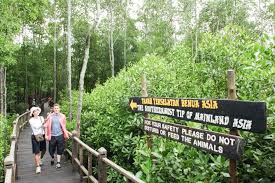 There are several geological and biological attractions in the park. Tangkak Gunung Ledang Mount Ophir Sunrise Pursuit 2d1n Trip 2020 Mango Vacations