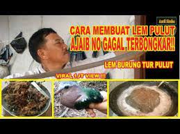 Pertama siapkan semprotan air yang biasanya anda pakai untuk memandikan lovebird. Cara Membuat Lem Pulut Burung Super Ampuh Dijamin Lengket No Gagal Youtube