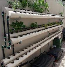 Wo Kann Man Aquaponik Systeme Aufbauen Und Betreiben Gesunde Leben E V Hydroponicgardenhowto Aquaponics System Hydroponic Farming Aquaponics