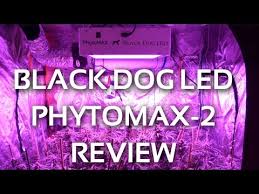 At 800 actual watts, the phytomax 800 is the most powerful led grow light available worldwide. Black Dog Led Phytomax 2 Led Grow Light Review Youtube
