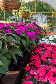Maybe you would like to learn more about one of these? Rcb Gardens