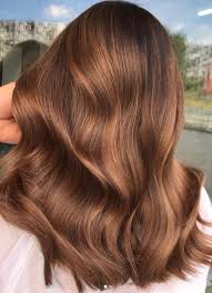Since auburn hair is customizable, you can find a color that complements your skin tone easily. Hair Color Ideas For Brunettes Auburn Blush Pearls