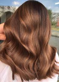 In general, auburn hair colors tend to be more vibrant, with higher intensity of red pigment, while chestnut is more in the brown hair category. 13 Stunning Hair Colour Ideas For Brunettes Blush Pearls