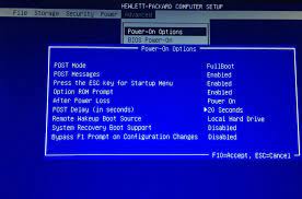 You can load up other operating systems (or applications) manually by accessing boot menu and making changes. Enter Bios Setup In Hp Computers The Silicon Underground