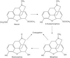 Check spelling or type a new query. Diamorphine An Overview Sciencedirect Topics