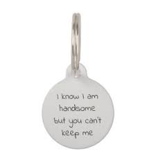 Personalized dog tags for dogs and cats in many colors, sizes & shapes ↑. Pet Id Tags Zazzle