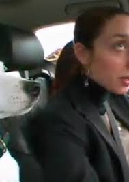 Jingle, Tokyo Melodies