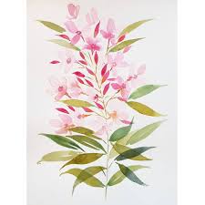 Laurier Rose A L Aquarelle Par Valentine Aquarelle Val Tine Instagram Posts Art Valentine