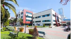 Istanbul da avcılar da kampüsü bulunan özel üniversite. Istanbul Gelisim Universitesi Igu Times Higher Education The Impact Ra Egitim Kamu Haber