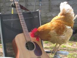 Chicken Can Play Guitar Gaboo S Happy Time Place Music Jokes Playing Guitar Music Lessons