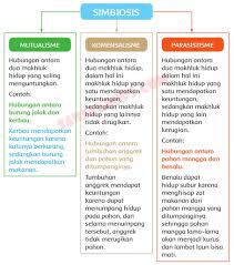 Kunci jawaban kelas 5 tema 1 organ gerak hewan dan manusia subtema 2 manusia dan lingkungan pembelajaran 4 halaman 89, 90, 91, 92, 93, 94, 95, 97, 101, 102 k13. Kunci Jawaban Buku Siswa Tema 5 Kelas 5 Halaman 85 86 87 89 90 Sanjayaops