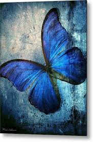 Leroy merlin registered offices : Pin By Simo D On Beautiful Blue Butterfly Art Print Butterfly Painting Butterfly Art