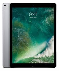 Apple Ipad Pro 2nd Gen 256gb Wi Fi 4g Unlocked 12 9 In Space Gray For Sale Online Ebay