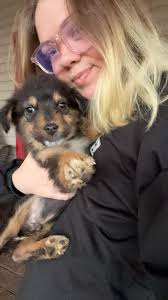 My baby boy at 5weeks old what do you all think