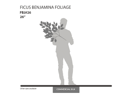 Shop for artificial ficus plants at walmart.com. Ficus Benjamina Foliage Artificial Tree Branches Commercial Silk