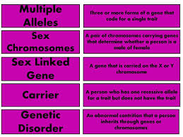 Amoeba sisters worksheets answer key! What Is A Trait With Multiple Alleles
