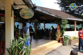 34, mile cameron highlands, tanah rata, 39000 cameron highlands, pahang. Cameron Valley Tea House 1 Cameron Highlands