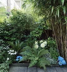 Layered Up Border In 2020 Urban Garden Design Small Urban Garden Garden Ideas Uk
