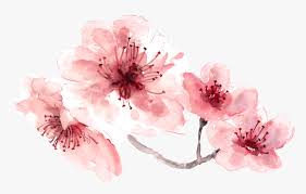 We did not find results for: 15 Pink Watercolor Flowers Png For Free Download On Jumma Mubarak To Loved Ones Transparent Png Kindpng