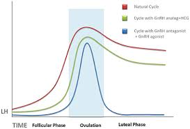 Frontiers Luteal Phase In Assisted Reproductive Technology Reproductive Health