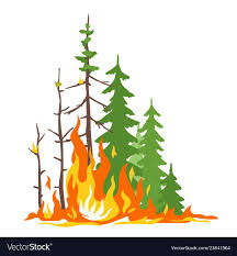 Forest Fire Poster Royalty Free Vector Image Vectorstock Fire Drawing Forest Illustration Fire Art