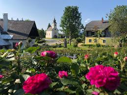 Machen sie von unserem angebot gebrauch und schauen sie sich in ruhe in unserem haus um. Rosarium Glashutten Flora Outdooractive Com