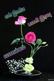 Pin By Sivaneshangd On Good Night Tamil In 2020 Wabi Sabi Crown Jewelry Sabi