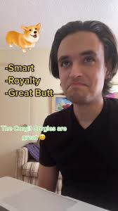 #stitch with @addiekosten Im just happy she didnt say Chihuahua 😂 #dogs  #puppy #reaction #latino #relationship #girlfriend #foryoupage