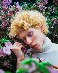 HD wallpaper: Man Wearing White Top, blond, blonde, bougainvillea, flora,  flowers