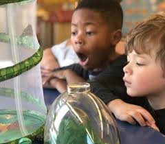 Cathedral of Saint Raymond Catholic School in Joliet, IL