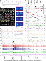 Consultez l'ensemble des articles, reportages, directs, photos et vidéos de la rubrique international publiés le mercredi 28 avril 2021. Multiplexed Optical Sensors In Arrayed Islands Of Cells For Multimodal Recordings Of Cellular Physiology Nature Communications