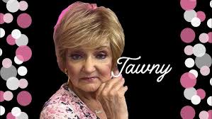 THE TERRIFIC TAWNEY WIG BY TONY OF BEVERLY HILLS IN MALIBU BLONDE