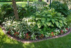 Shade Garden With Mostly Foliage Plants Hostas Begonias Tree Brick Edging Lawn Grass House Ferns White Picke Shade Landscaping Shade Plants Shade Garden