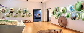 Image result for Pollichia