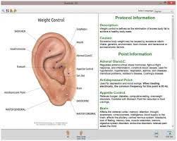 Pin On Acupressure