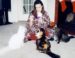 The result is an exotic animal that is the size of a house cat or a little at pets4you.com our customers and clients are encouraged to vote for their favorite breed of cat. Cat Lover S Guide To The Top 10 Cat Breeds